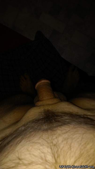 Photo of a cock from Alf4269