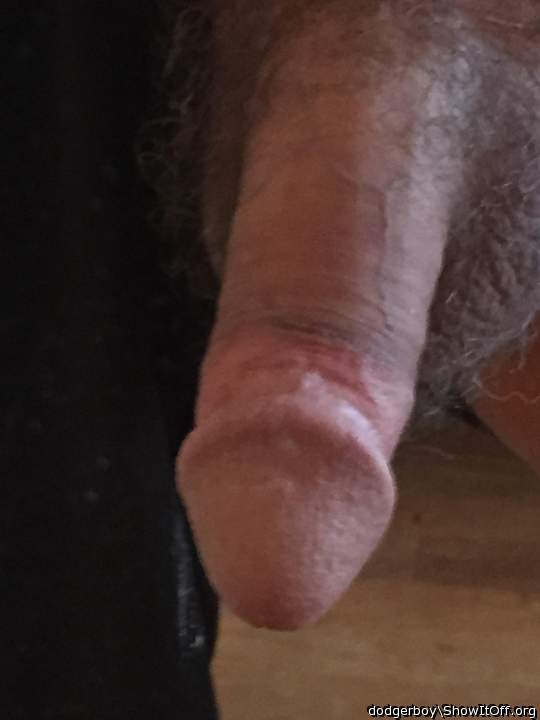 Photo of a cock from dodgerboy