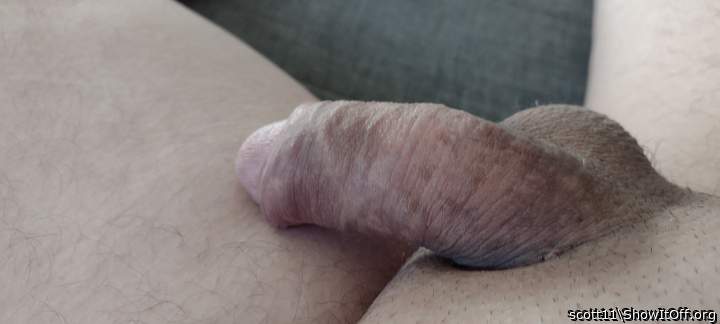 Photo of a hot dog from scott11