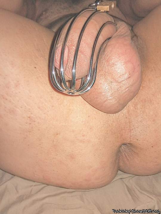 Testicles Photo from Tookinky