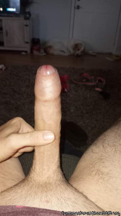 Photo of a thing from Funtimesforus