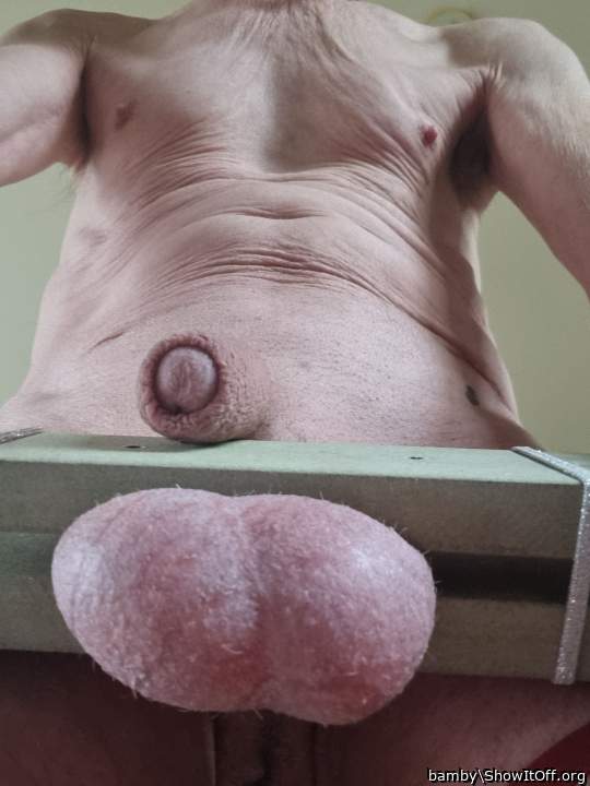 Photo of a shaft from bamby