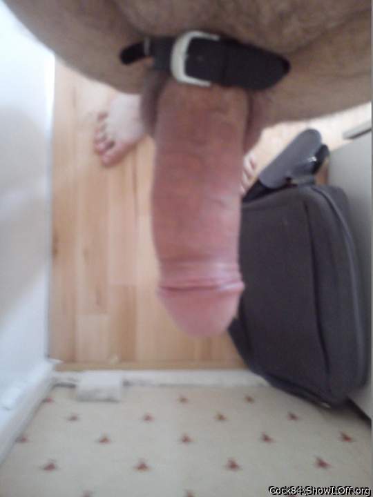 Photo of a middle leg from Cock84
