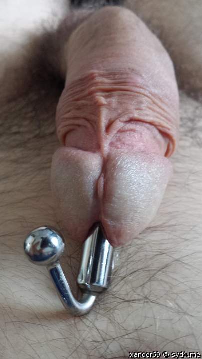 Photo of a dong from xander69