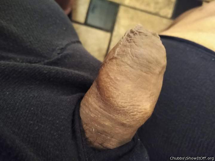 Photo of a bald-headed mouse from Chubbs