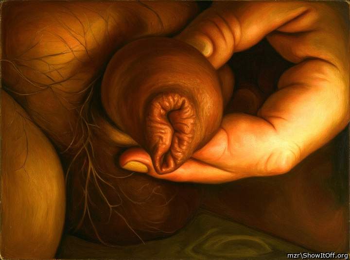 Foreskin of an uncircumcised dick close-up