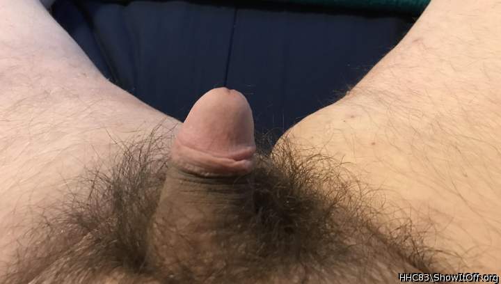 Soft hairy cock