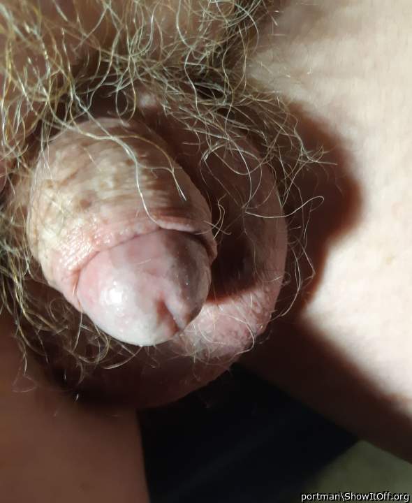 Needs grooming
