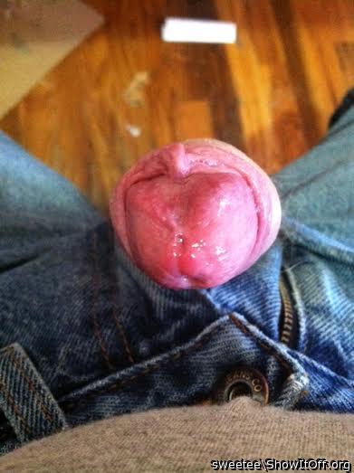 Photo of a short leg from sweetee
