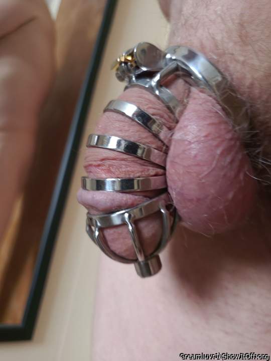 Sissy Calvin Showing off his New Cage