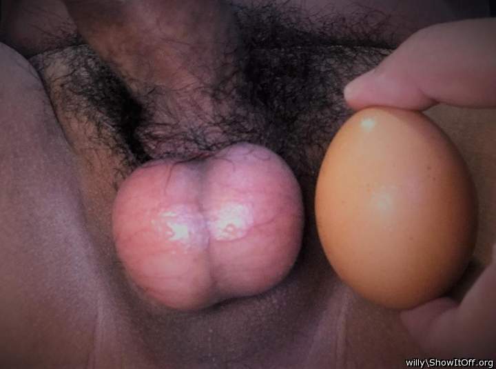 My Small Balls vs Egg