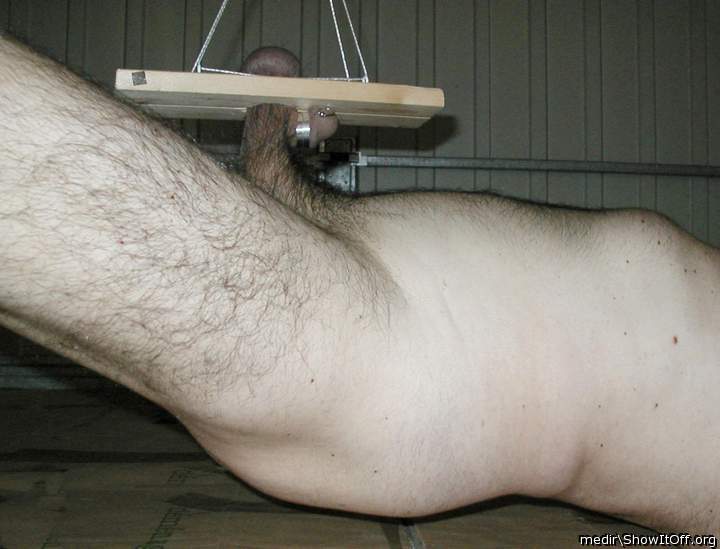 Testicles Photo from medir