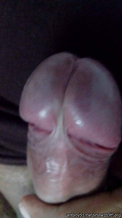 Photo of a middle leg from antony51me
