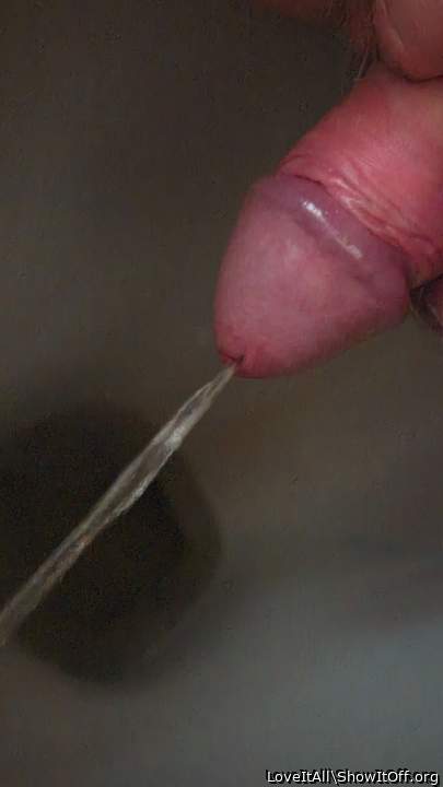 Photo of a third leg from LoveItAll