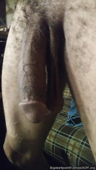 Photo of a bat from bigdee9point5