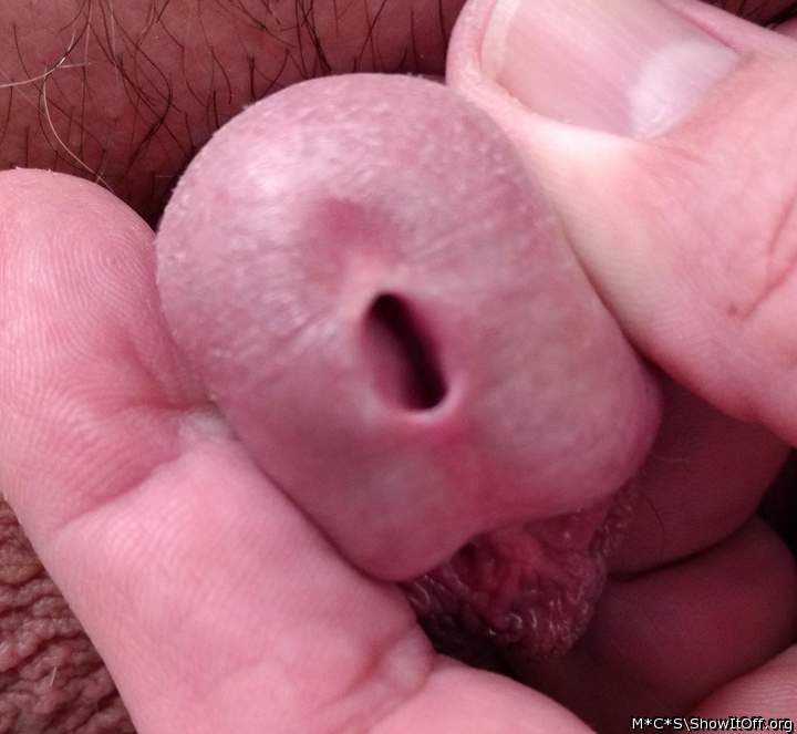 Adult image from M*C*S