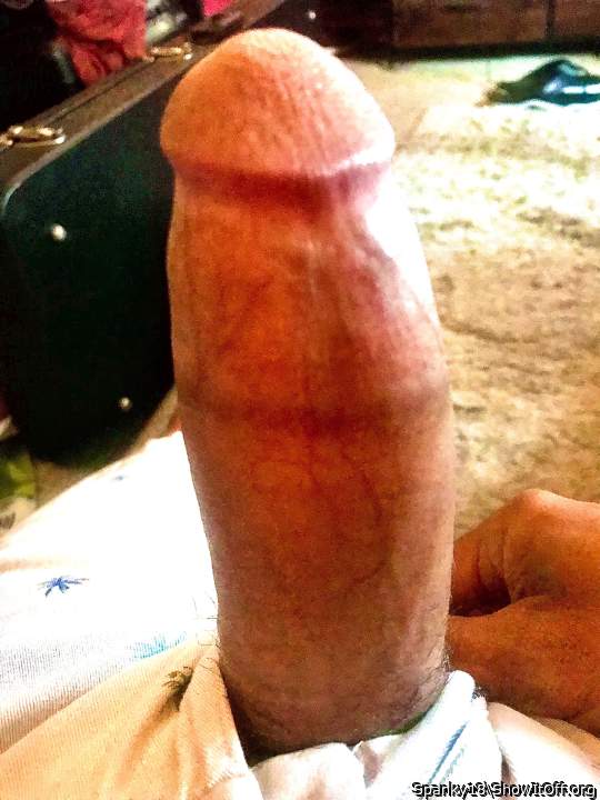 Photo of a lizard from Spanky18