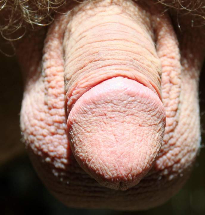 I LOVE when a penis is circumcised