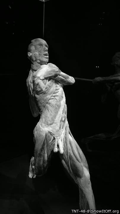 Saw this exhibit a few years ago here. Awesome!