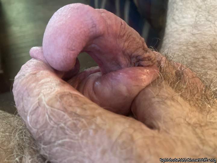 Photo of a third leg from Splitdude192
