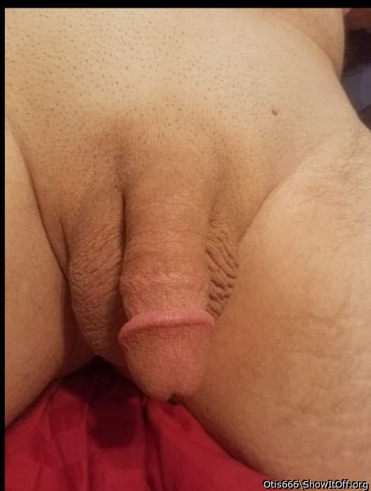 Photo of a phallus from Otis666