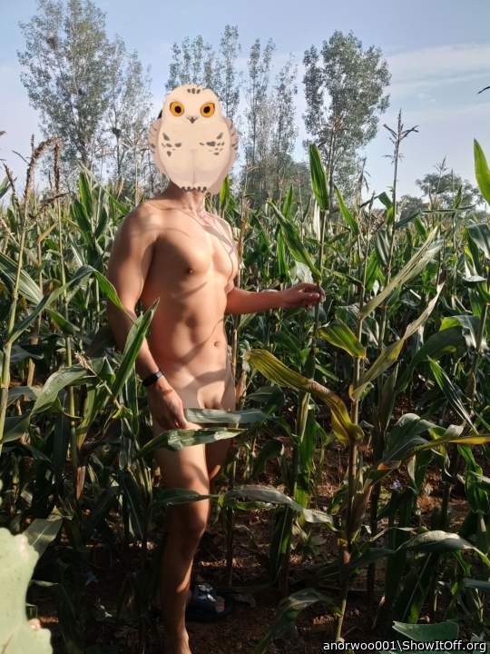 Photo of a short leg from anorwoo001