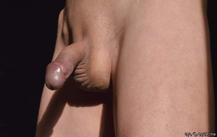 Photo of a pocket rocket from ryo