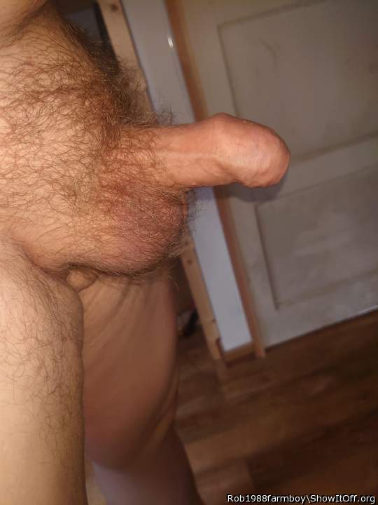 Photo of a member from Rob1988farmboy