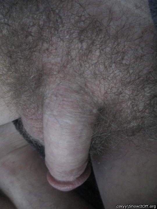 Heavy, hanging cock with sexy pubes!
