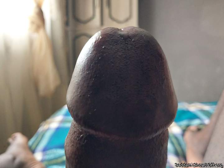 Photo of a dick from Saddam
