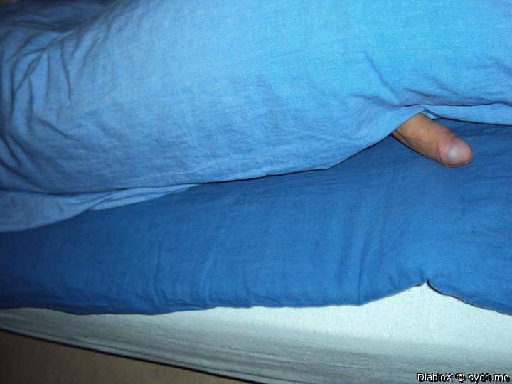 penis in bed