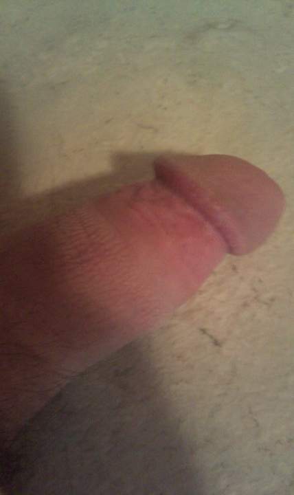 Photo of a python from MRDICK69