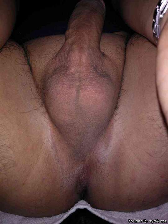 Testicles Photo from fourier