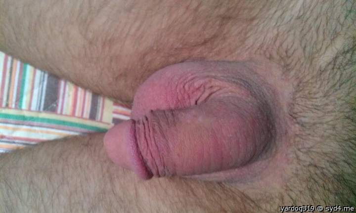 Photo of a schlong from yardog319