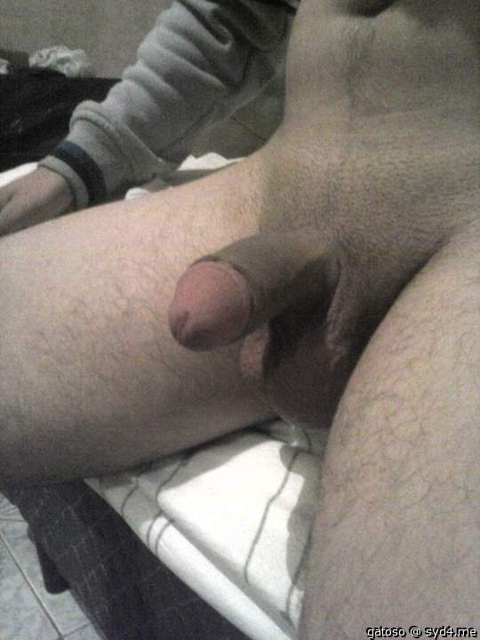 Photo of a stiffie from gatoso