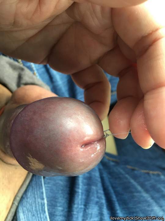 Photo of a snake from ilovemydick