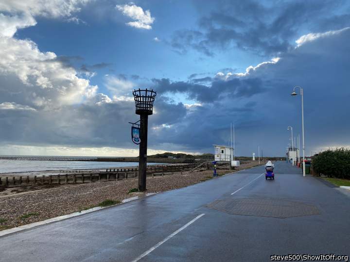 Photo of a bat from steve500