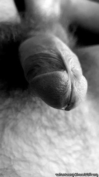 Photo of a dong from calientearg