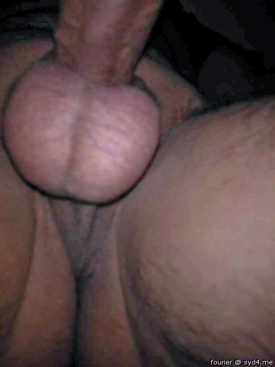 Testicles Photo from fourier