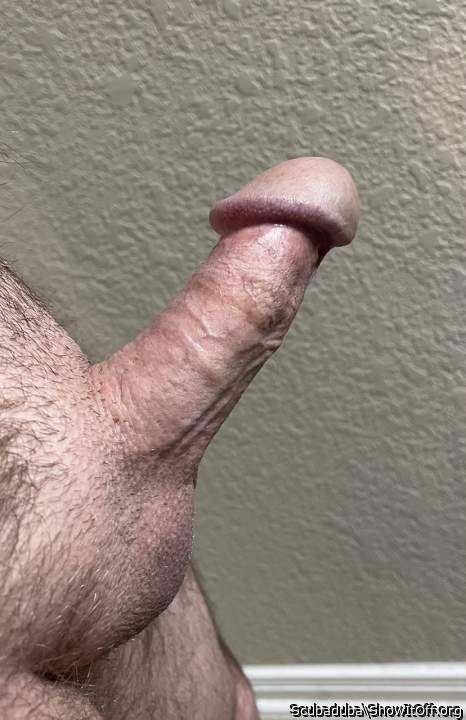 Real nice cock I love that mushroom head we love the suck it