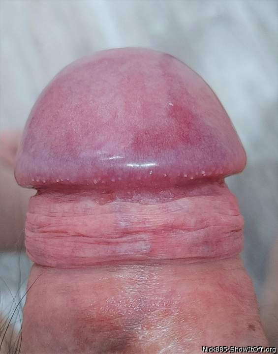 Photo of a middle leg from Nick885