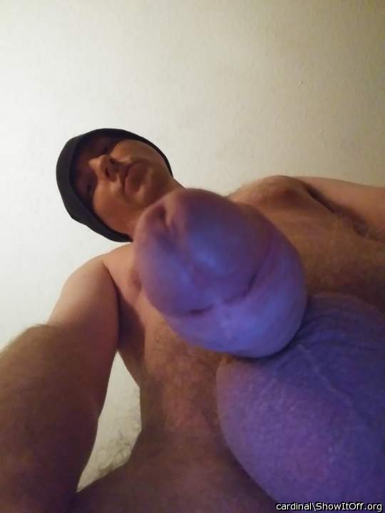 Photo of a sausage from cardinal