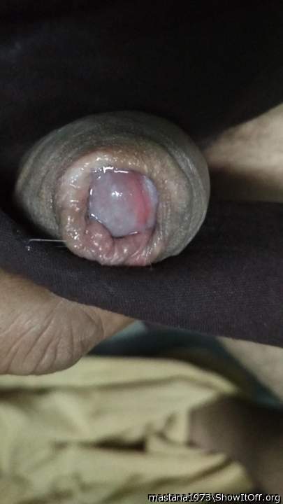 Photo of a dong from mastana1973