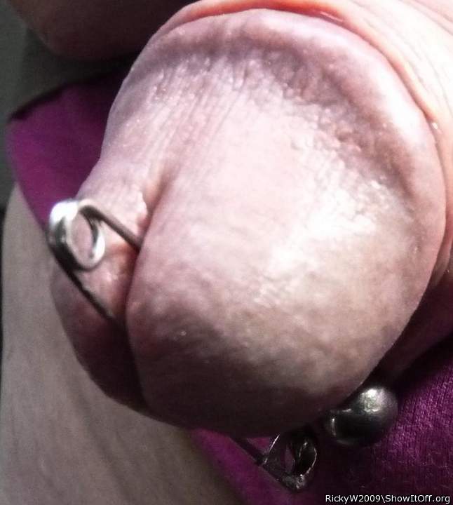 Photo of a bat from RickyW2009