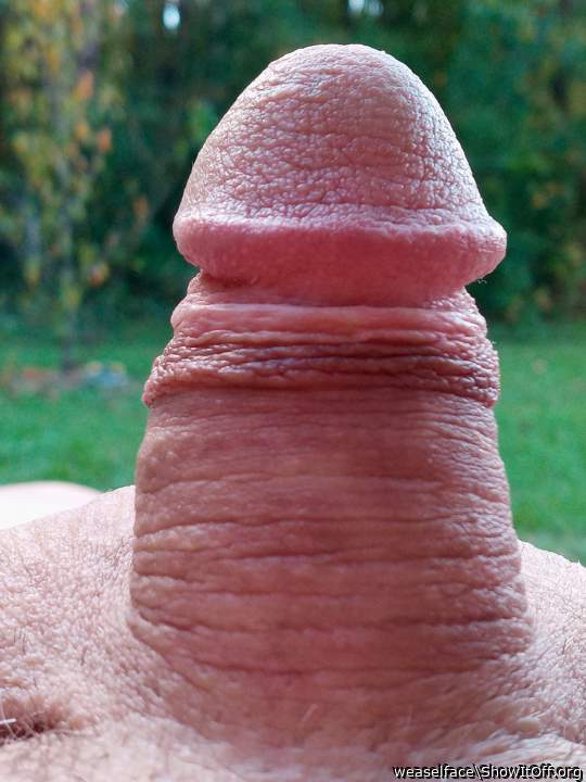 😋👅 beautiful dick 