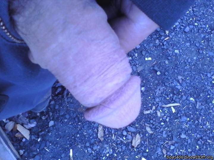 Photo of a pecker from bda1406