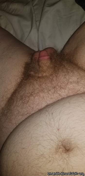 Photo of a bald-headed mouse from Jman69