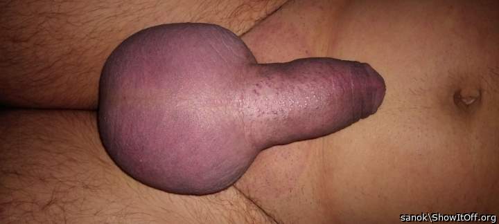 Testicles Photo from sanok