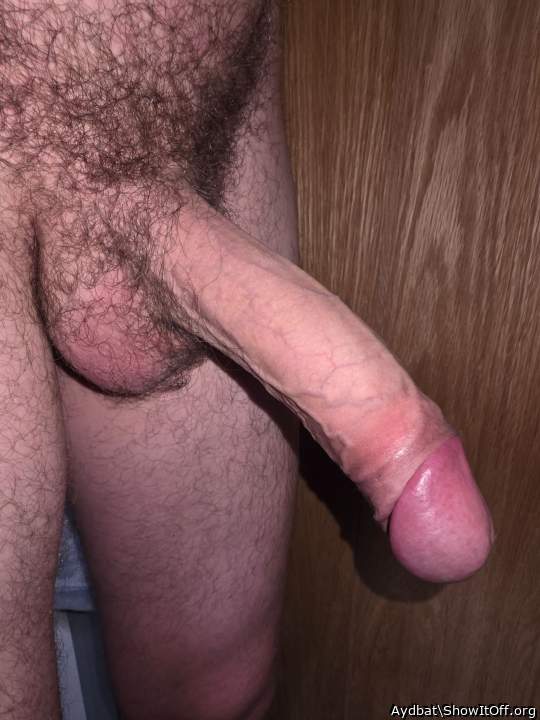 A sensational, long, beautiful penis.
