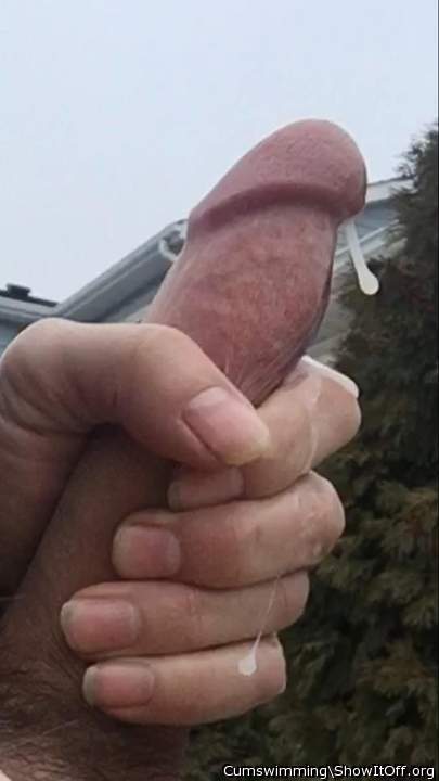 Photo of a python from Cumswimming
